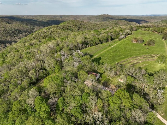 19360 Ford Rd, Garfield, AR 72732 - photo 48
