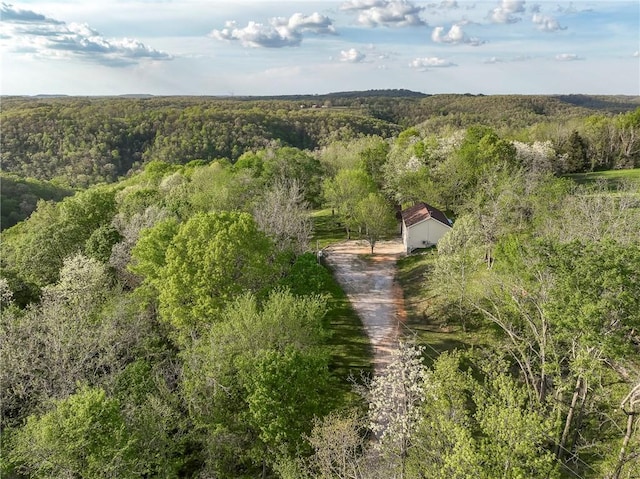 19360 Ford Rd, Garfield, AR 72732 - photo 49
