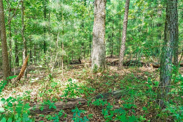 Kincardine Dr, Bella Vista, AR 72715 - photo 6