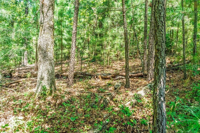 Kincardine Dr, Bella Vista, AR 72715 - photo 7