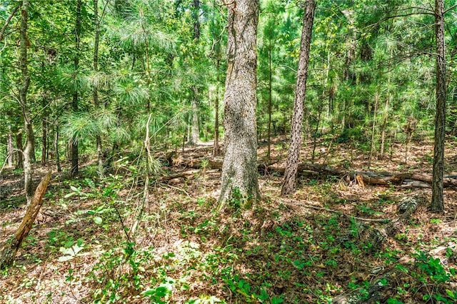 Kincardine Dr, Bella Vista, AR 72715 - photo 8