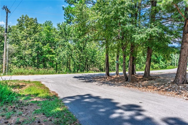 Kincardine Dr, Bella Vista, AR 72715 - photo 20