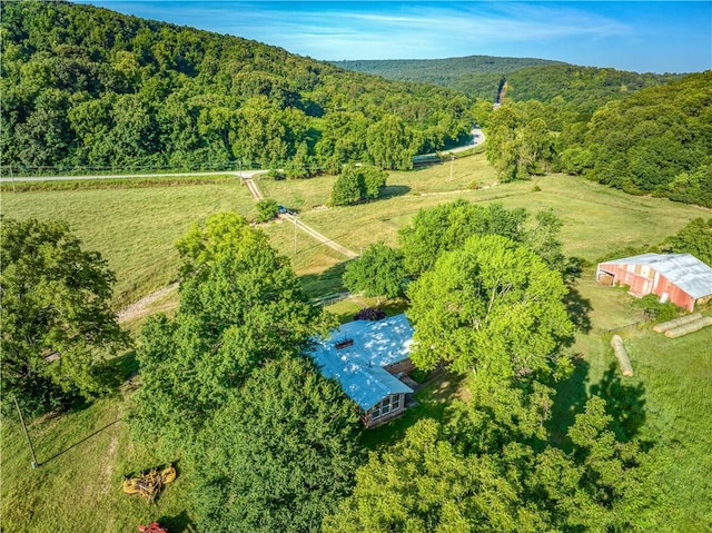 8828 412th Hwy, Green Forest, AR 72638 - photo 27