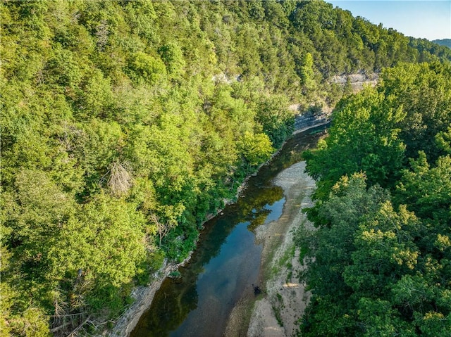 8828 412th Hwy, Green Forest, AR 72638 - photo 21