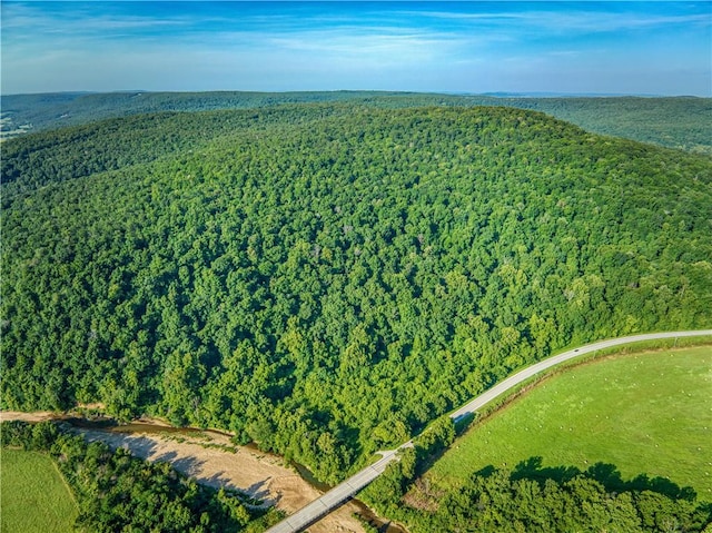 412 Hwy Highway, Green Forest, AR 72638 - photo 14