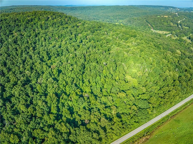 412 Hwy Highway, Green Forest, AR 72638 - photo 12