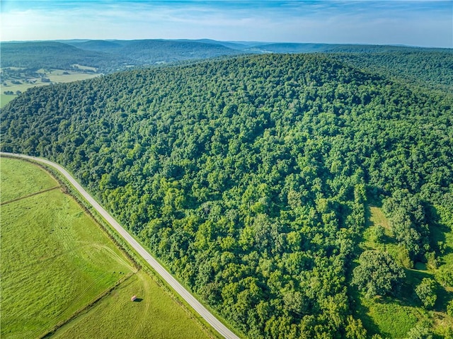 412 Hwy Highway, Green Forest, AR 72638 - photo 13