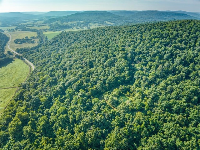 412 Hwy Highway, Green Forest, AR 72638 - photo 15