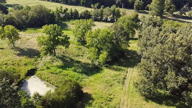 412 Hwy Highway, Green Forest, AR 72638 - photo 4