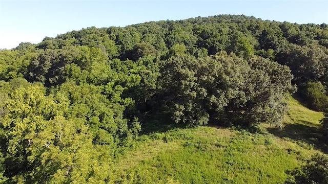 412 Hwy Highway, Green Forest, AR 72638 - photo 6