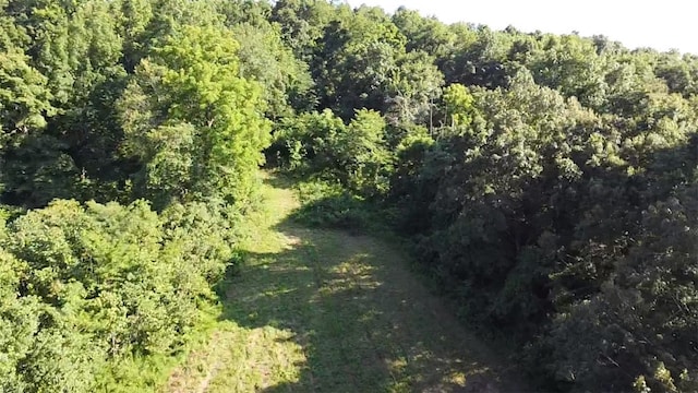 412 Hwy Highway, Green Forest, AR 72638 - photo 8