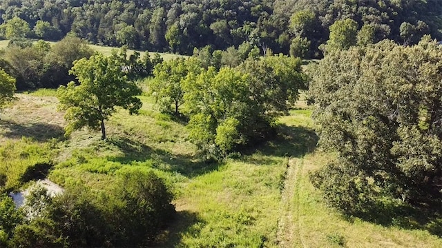 412 Hwy Highway, Green Forest, AR 72638 - photo 9