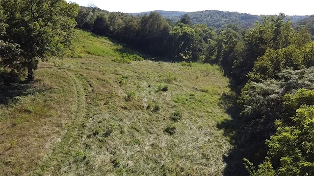 412 Hwy Highway, Green Forest, AR 72638 - photo 10