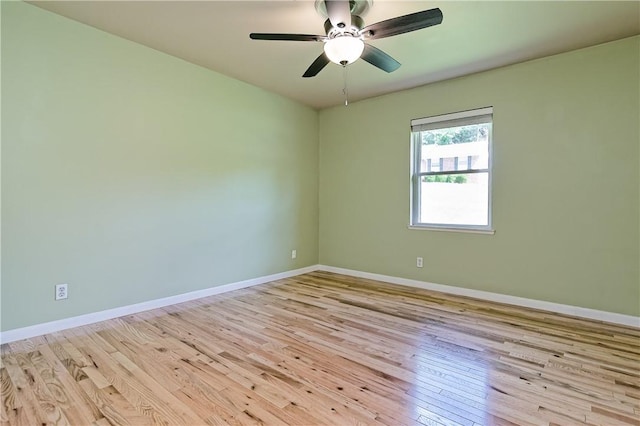 945 E Elm St, Fayetteville, AR 72703 - photo 17