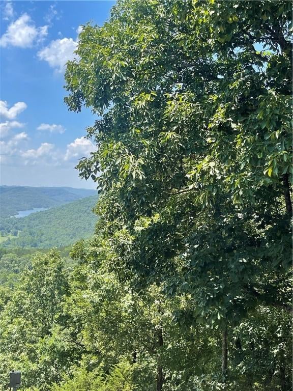 Cypress Point Ln, Holiday Island, AR 72631 - photo 1