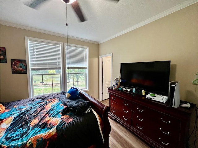 2172 Wileys Cove Rd, Leslie, AR 72645 - photo 21