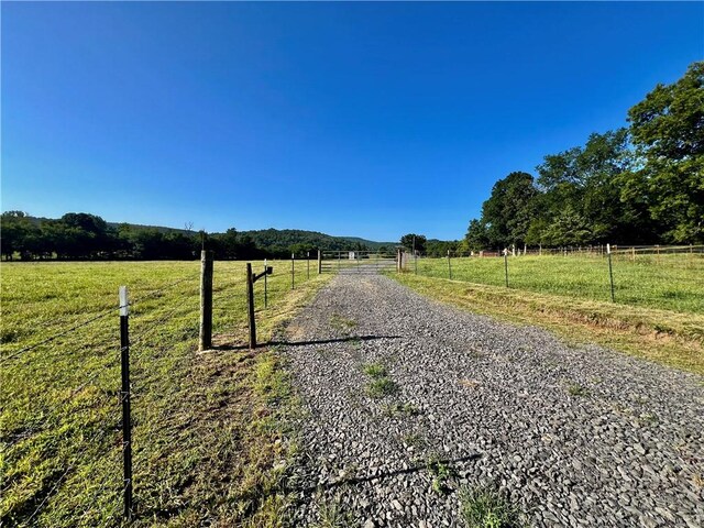 2172 Wileys Cove Rd, Leslie, AR 72645 - photo 47