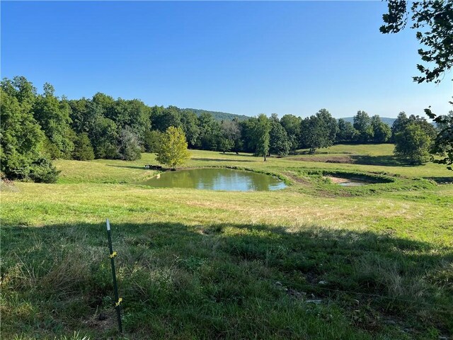 2172 Wileys Cove Rd, Leslie, AR 72645 - photo 49