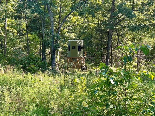 2172 Wileys Cove Rd, Leslie, AR 72645 - photo 50