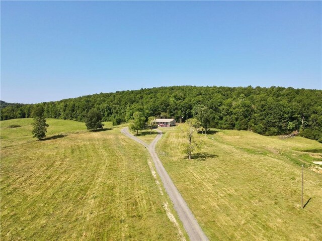 2172 Wileys Cove Rd, Leslie, AR 72645 - photo 23