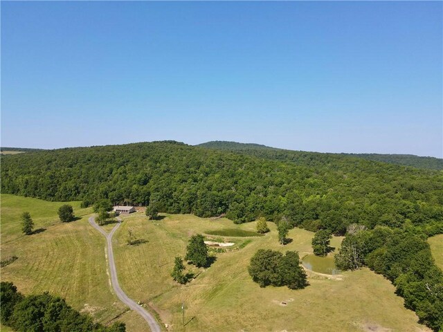 2172 Wileys Cove Rd, Leslie, AR 72645 - photo 24