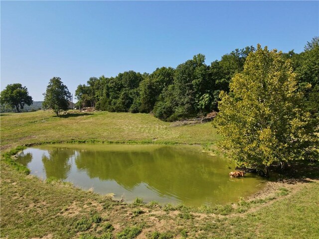 2172 Wileys Cove Rd, Leslie, AR 72645 - photo 26