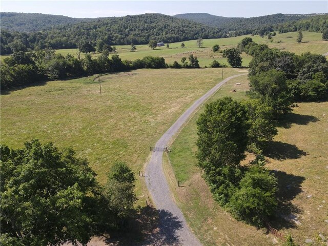 2172 Wileys Cove Rd, Leslie, AR 72645 - photo 29
