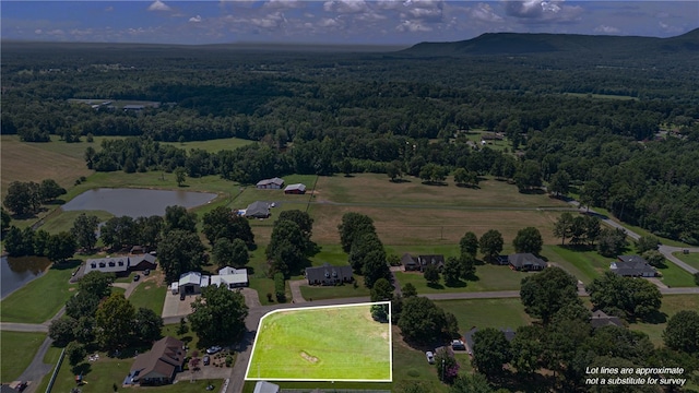 Bougey St, Dardanelle, AR 72834 - photo 1