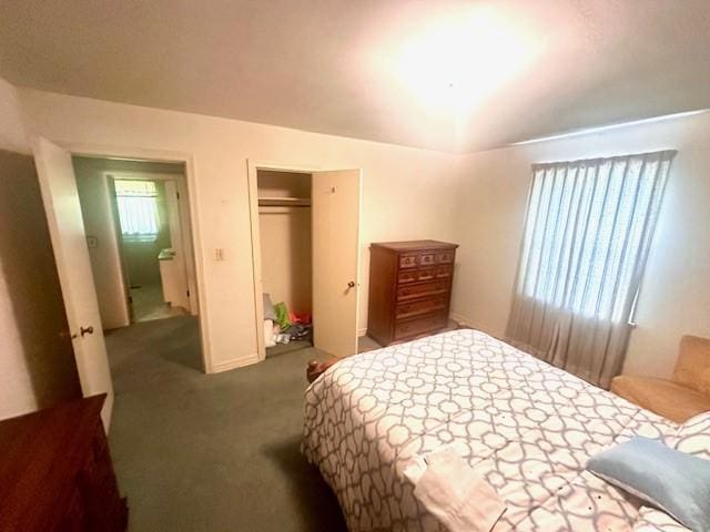 718 Maple Dr, Springdale, AR 72764 - photo 7