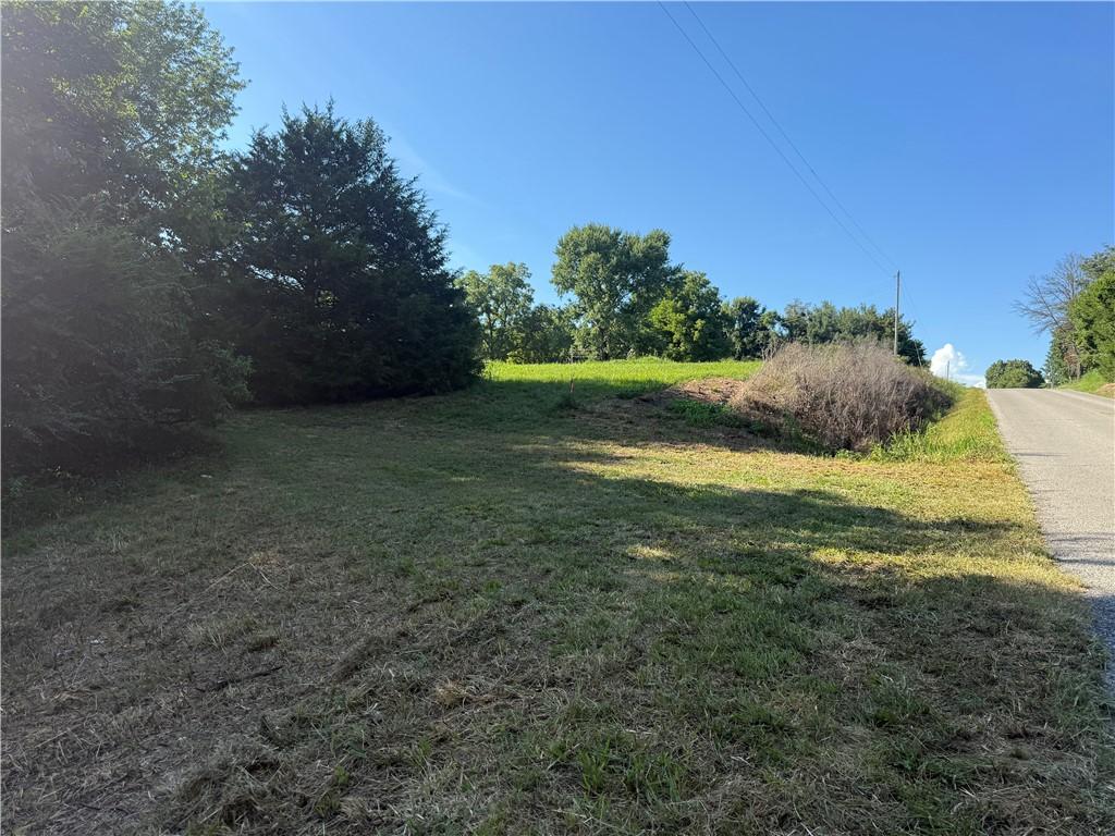 3577 Patterson Rd, Pea Ridge, AR 72751 - photo 4