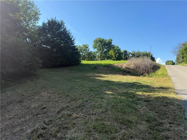 3577 Patterson Rd, Pea Ridge, AR 72751 - photo 4
