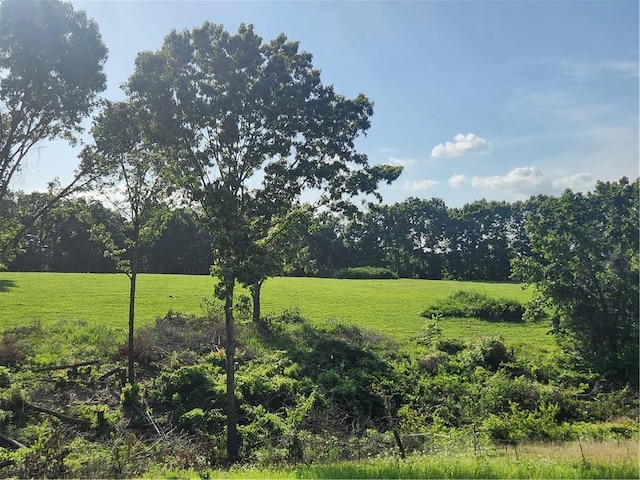 N Wimpy Jones Rd, Garfield, AR 72732 - photo 2