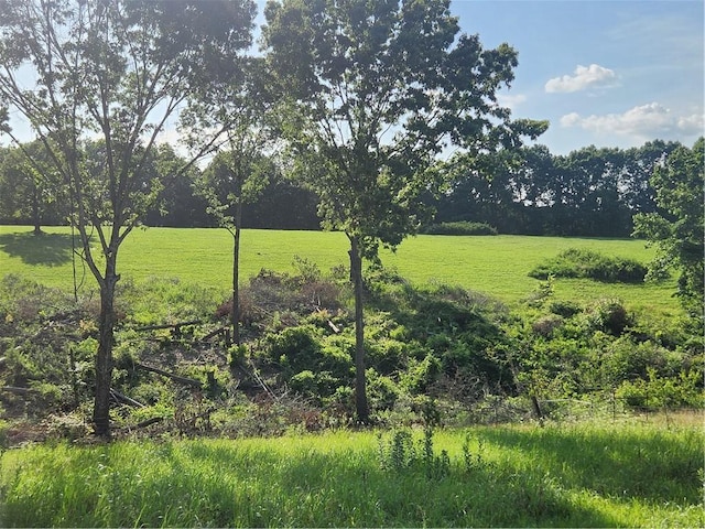 N Wimpy Jones Rd, Garfield, AR 72732 - photo 4