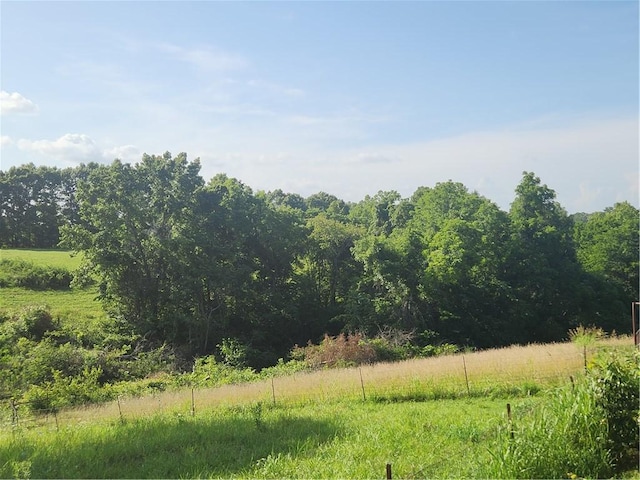 N Wimpy Jones Rd, Garfield, AR 72732 - photo 9