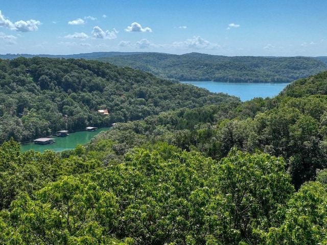 Timberlake Ln, Eureka Springs, AR 72631 - photo 1