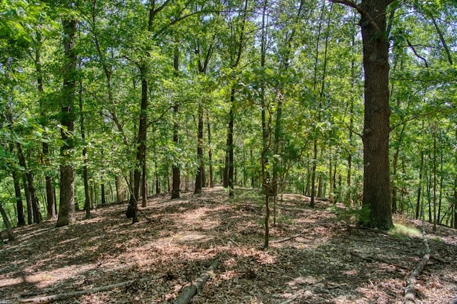 Timberlake Ln, Eureka Springs, AR 72631 - photo 2