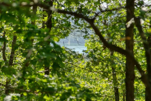 Timberlake Ln, Eureka Springs, AR 72631 - photo 3
