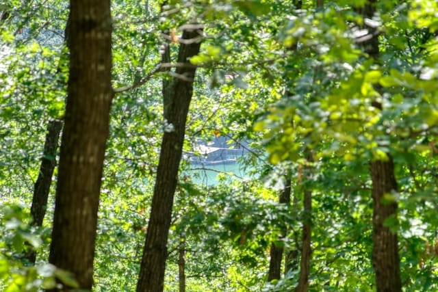 Timberlake Ln, Eureka Springs, AR 72631 - photo 4