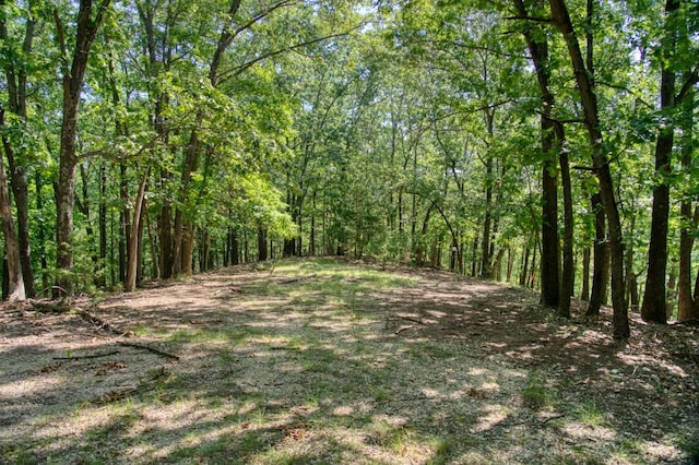 Timberlake Ln, Eureka Springs, AR 72631 - photo 5