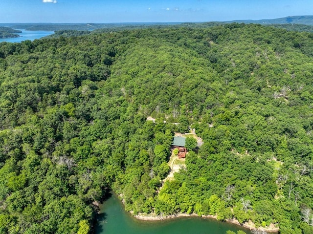 Timberlake Ln, Eureka Springs, AR 72631 - photo 6