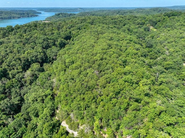 Timberlake Ln, Eureka Springs, AR 72631 - photo 7