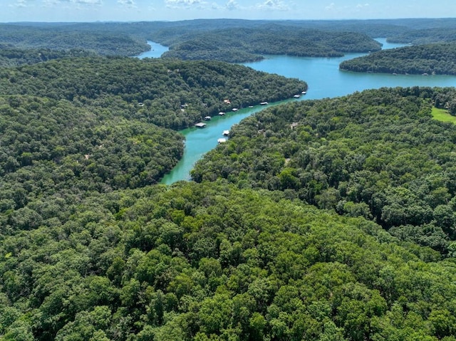 Timberlake Ln, Eureka Springs, AR 72631 - photo 8