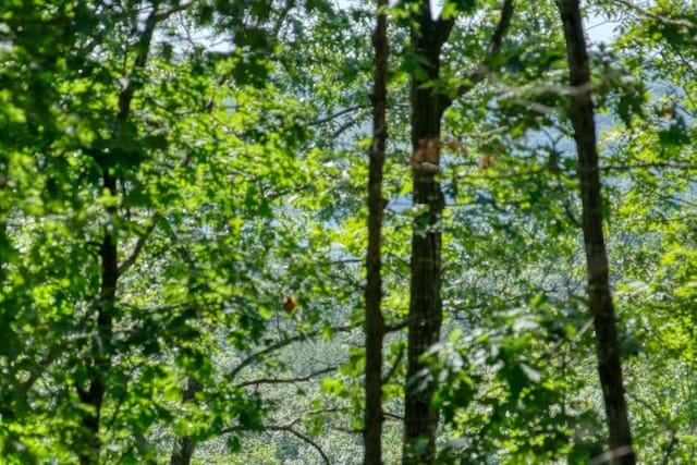 Timberlake Ln, Eureka Springs, AR 72631 - photo 9