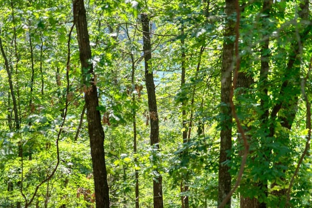 Timberlake Ln, Eureka Springs, AR 72631 - photo 10