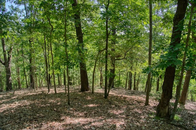 Timberlake Ln, Eureka Springs, AR 72631 - photo 11