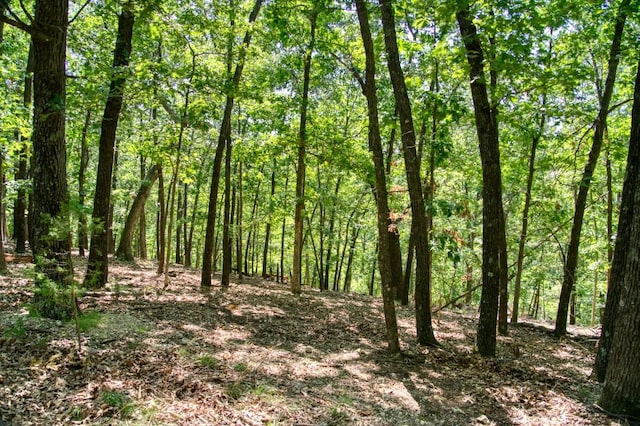 Timberlake Ln, Eureka Springs, AR 72631 - photo 12