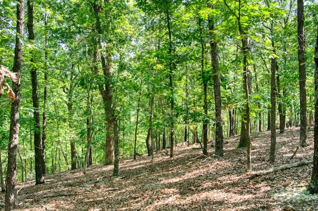Timberlake Ln, Eureka Springs, AR 72631 - photo 13