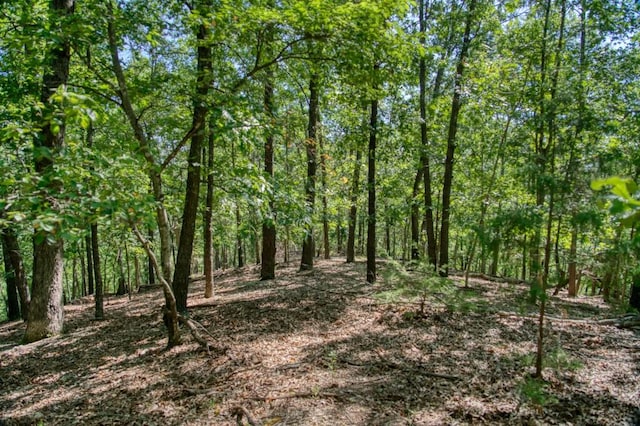 Timberlake Ln, Eureka Springs, AR 72631 - photo 14