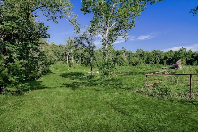 658 Niogo Rd, Southwest City, MO 64863 - photo 18
