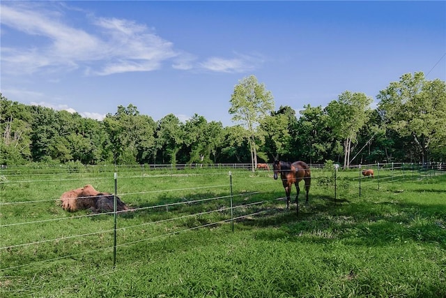 658 Niogo Rd, Southwest City, MO 64863 - photo 19